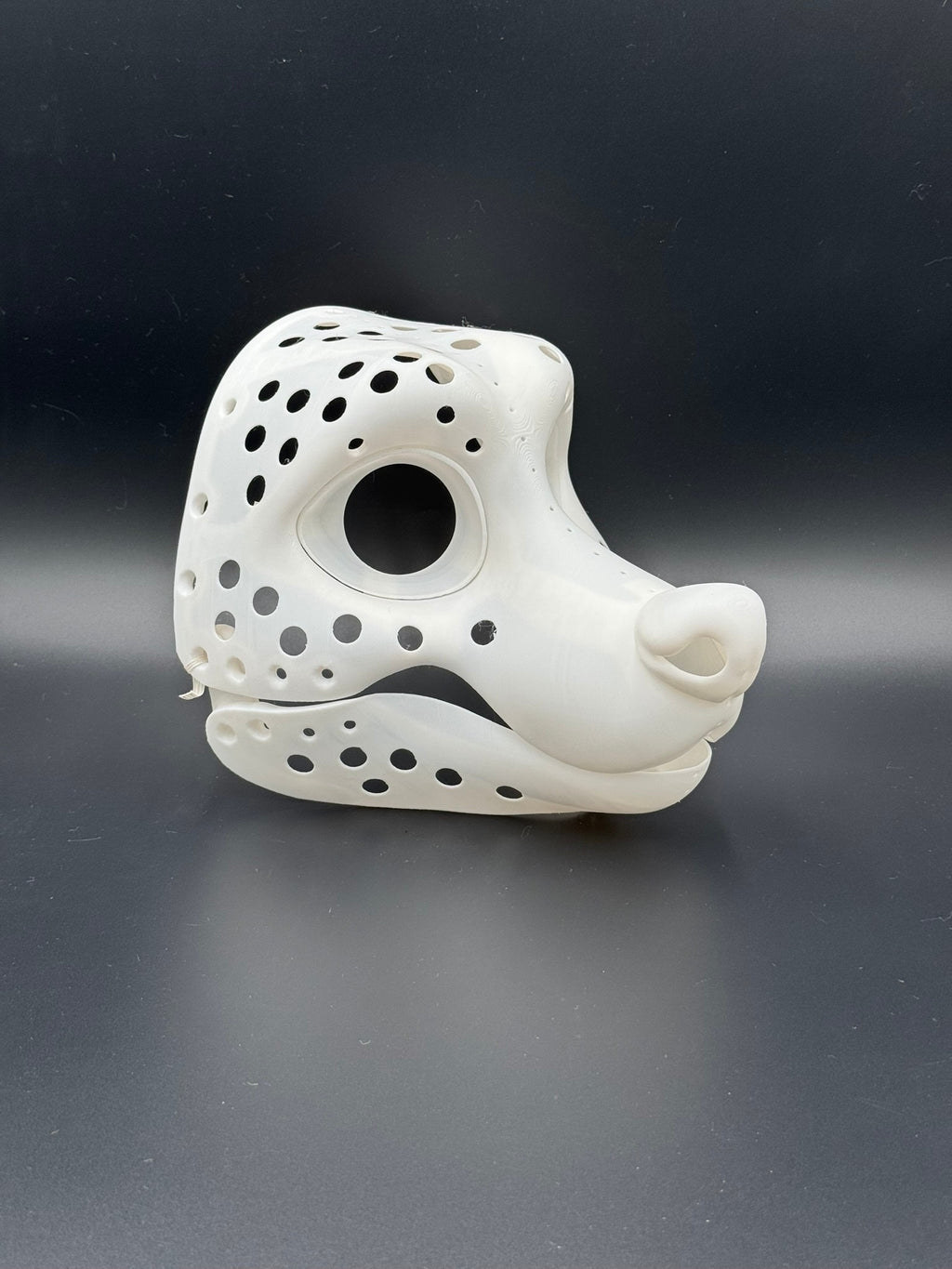 Raccoon 3D printed fursuit head base