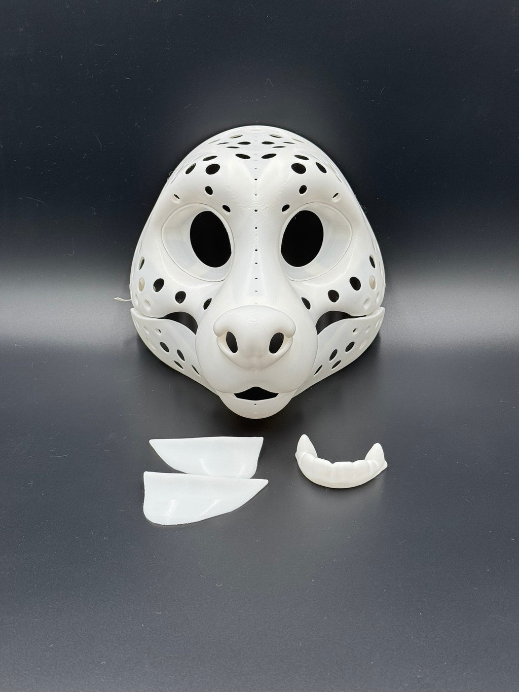 Raccoon 3D printed fursuit head base