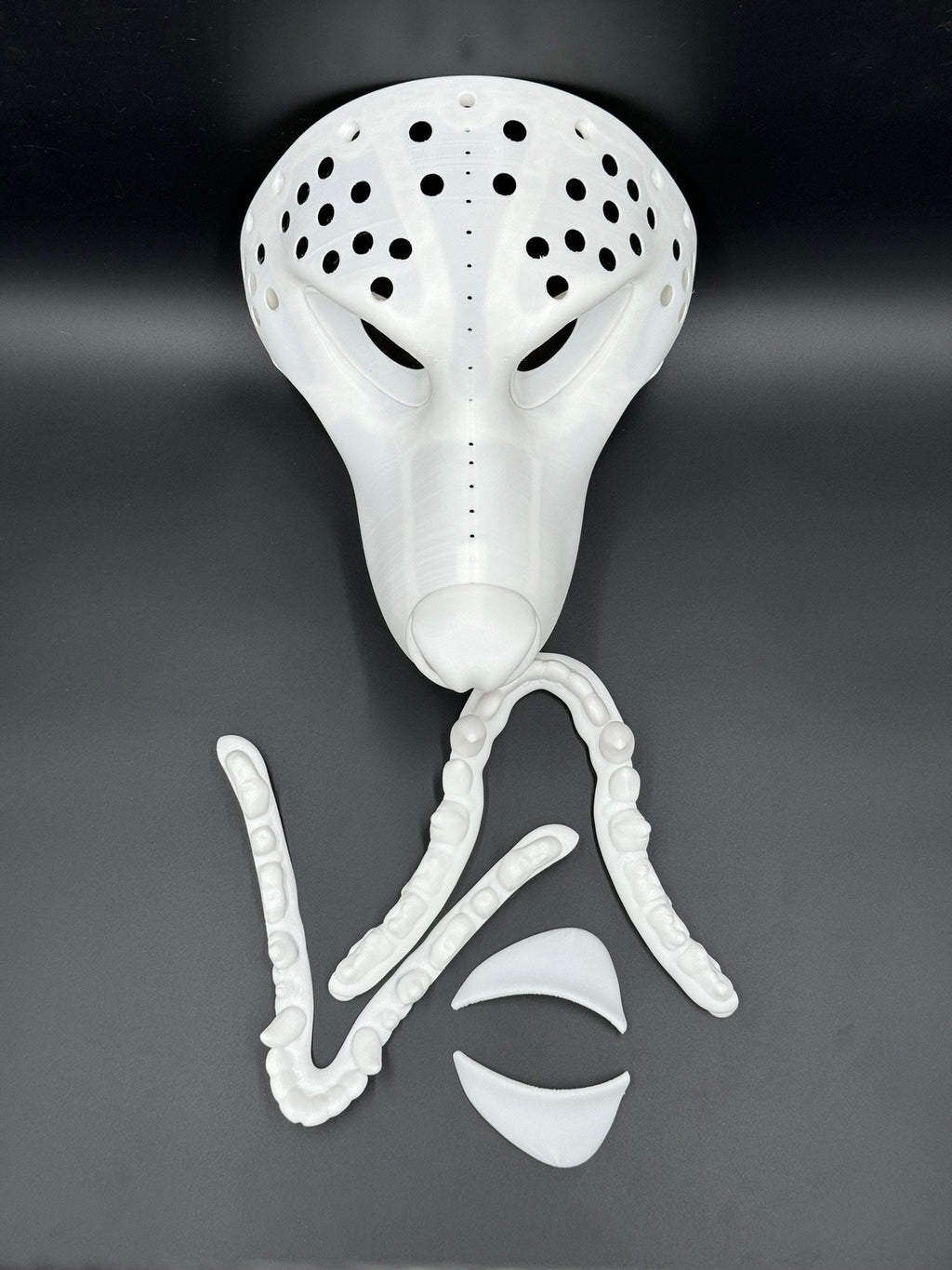 Opossum 3D printed fursuit head base