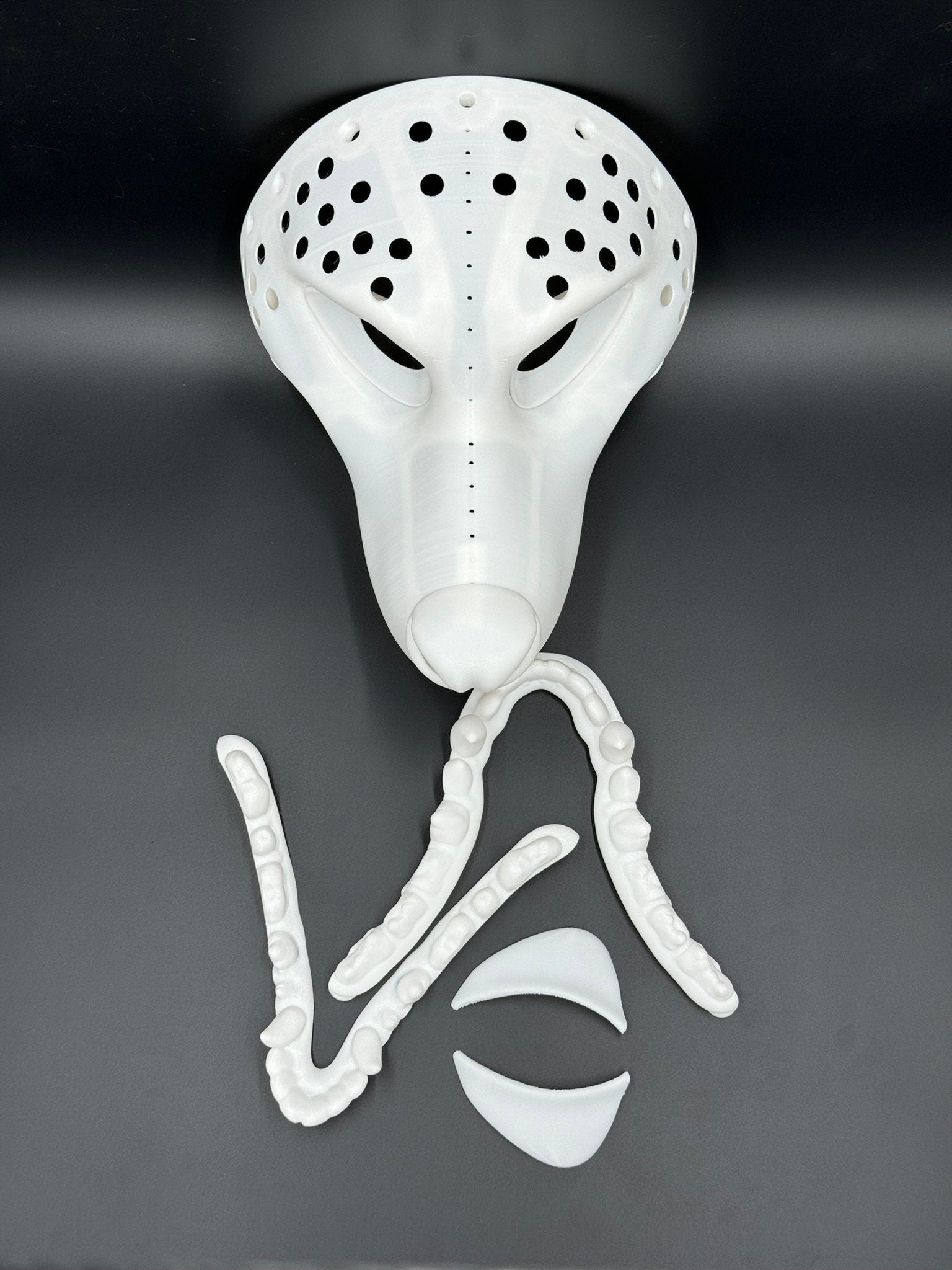 Opossum 3D printed fursuit head base